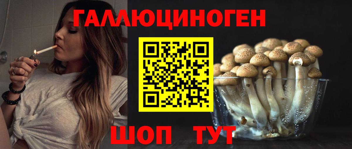 Псилоцибиновые грибы Psilocybe Грязи